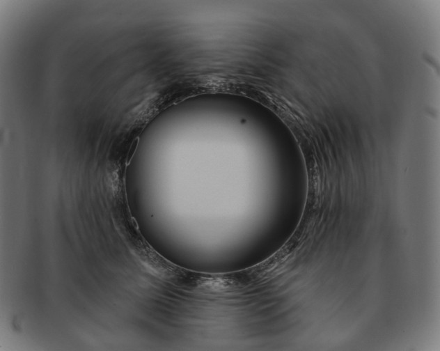 X0000091310611200708241115