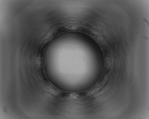 X0000091310612200708241115