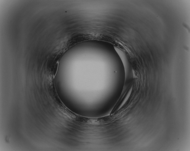 X0000091310613200708241115