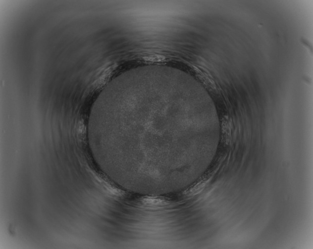 X0000091310614200708241115