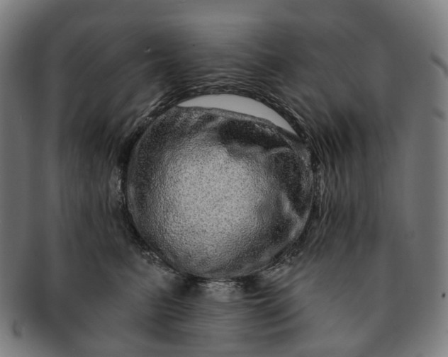 X0000091310615200708241115