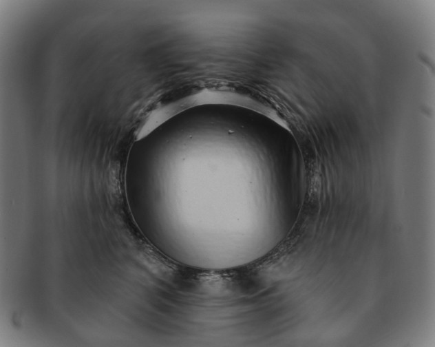 X0000091310616200708241115