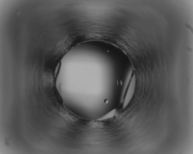 X0000091310617200708241115