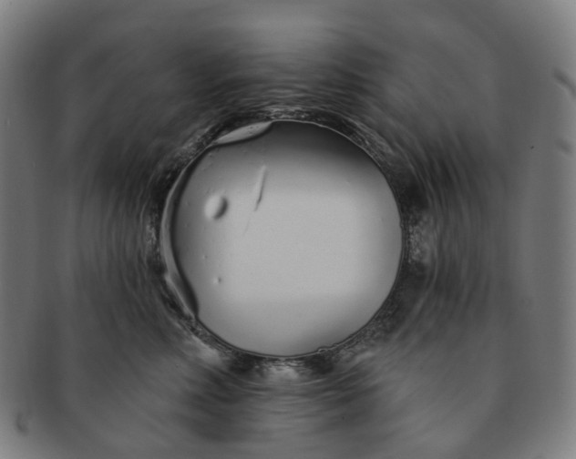 X0000091310618200708241115