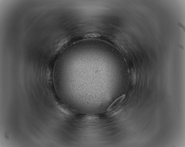 X0000091310619200708241115