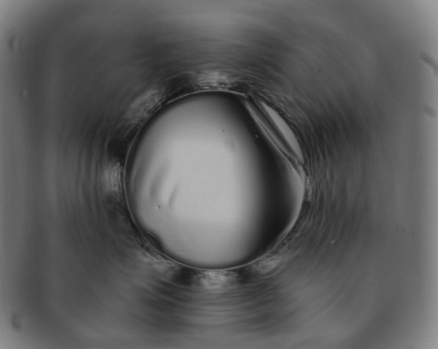 X0000091310623200708241115