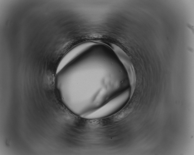 X0000091310624200708241115