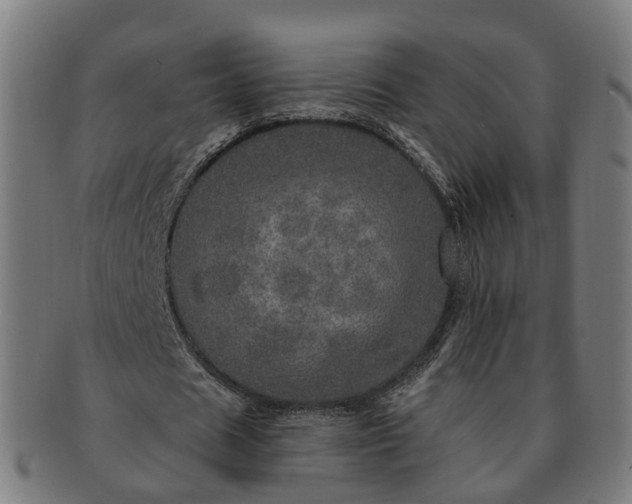 X0000091310625200708241114