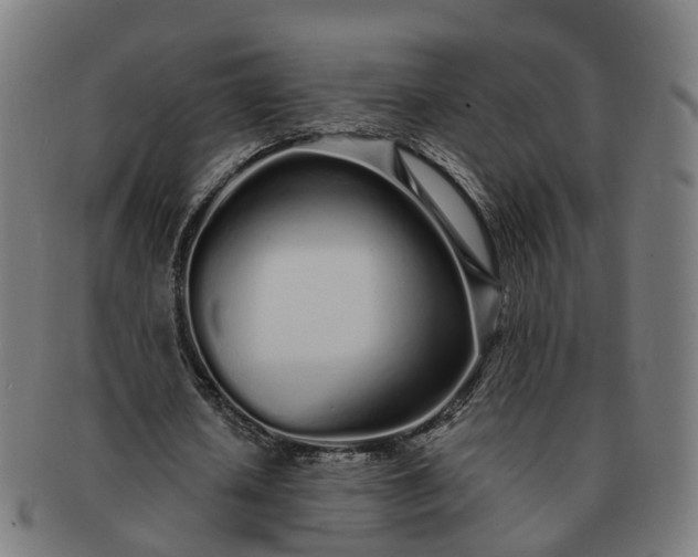 X0000091310626200708241114