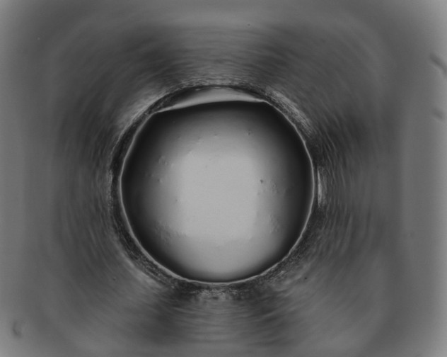 X0000091310627200708241114