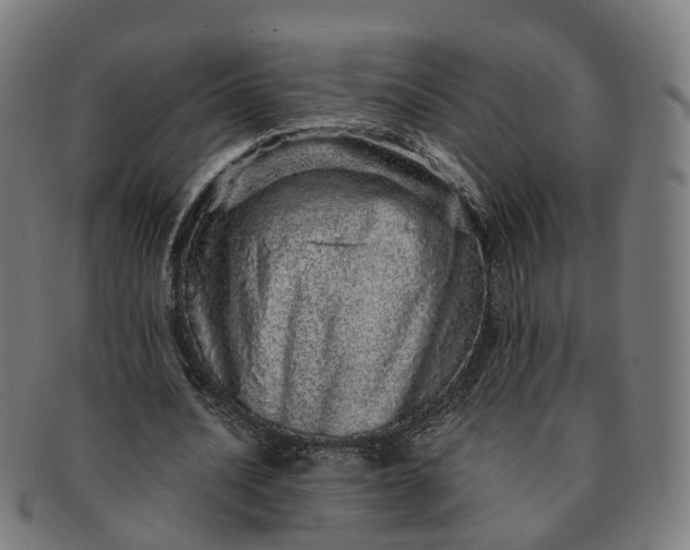 X0000091310628200708241114