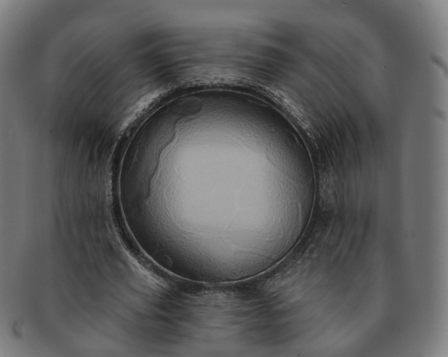 X0000091310629200708241114