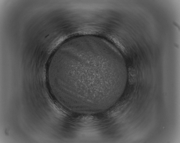 X0000091310631200708241114