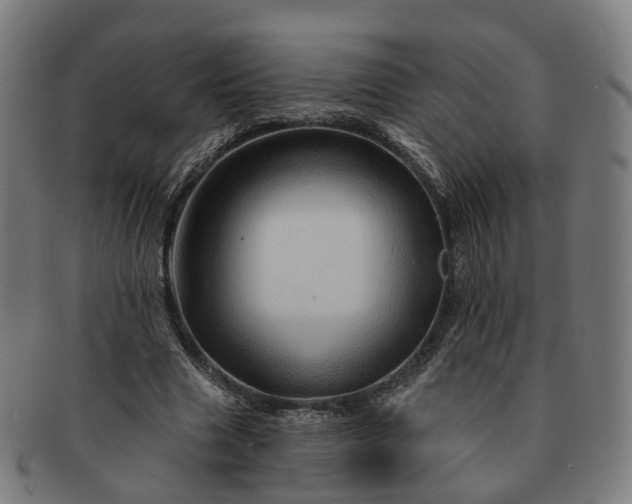 X0000091310633200708241114