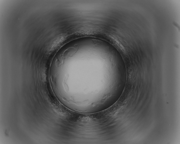 X0000091310635200708241114