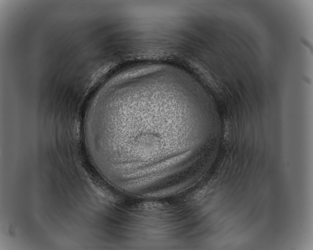 X0000091310636200708241114