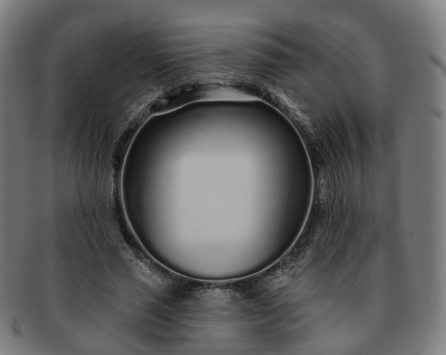 X0000091310637200708241114