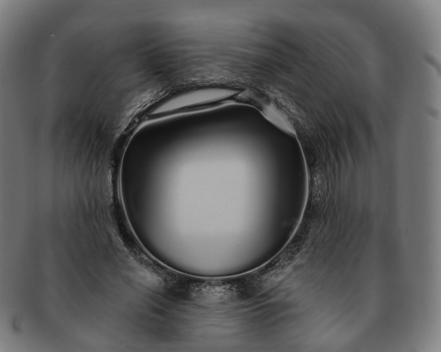 X0000091310638200708241114