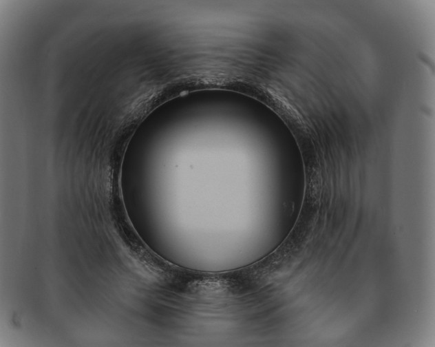 X0000091310639200708241114