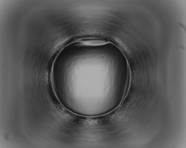 X0000091310640200708241114