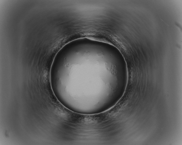 X0000091310641200708241114