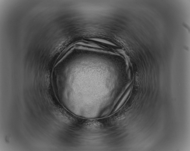 X0000091310642200708241114