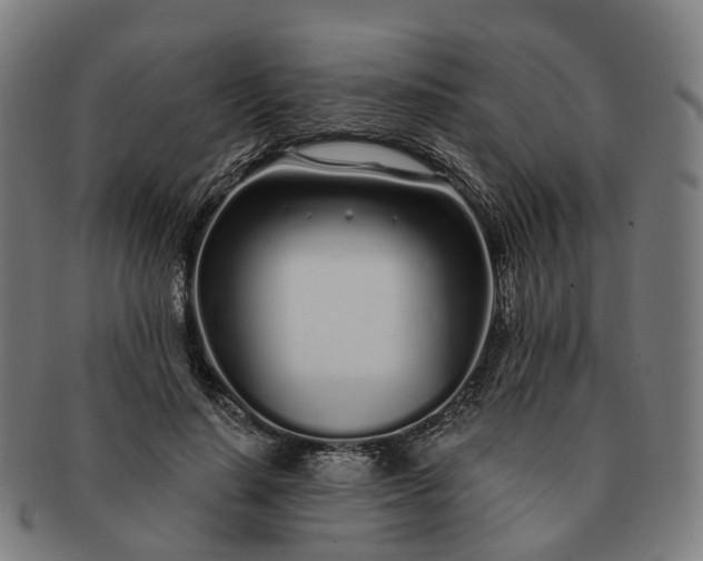 X0000091310644200708241114