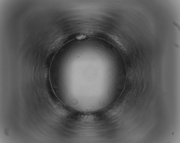 X0000091310645200708241114