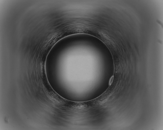 X0000091310646200708241114