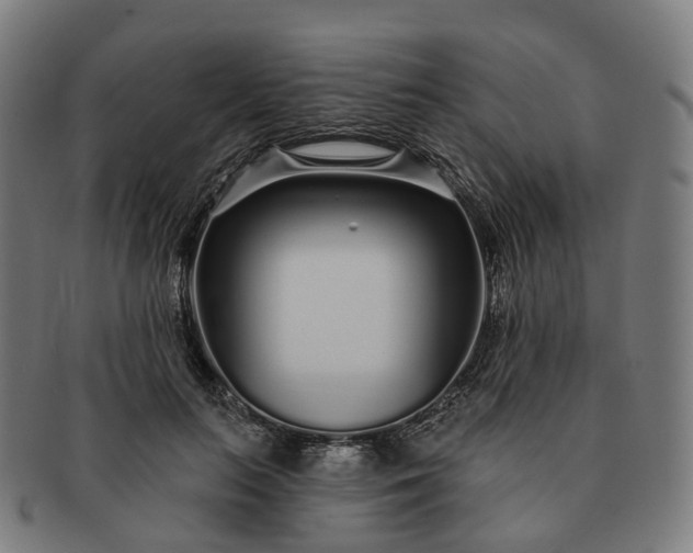 X0000091310647200708241114