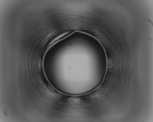 X0000091310648200708241114