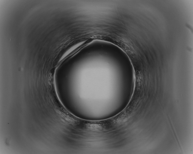 X0000091310649200708241114