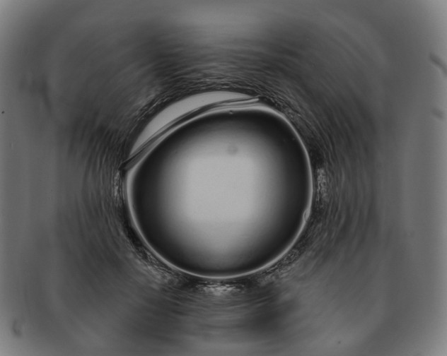 X0000091310650200708241114