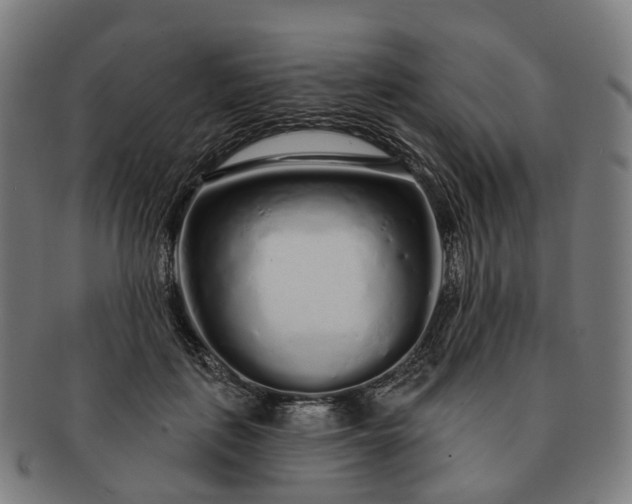 X0000091310651200708241114