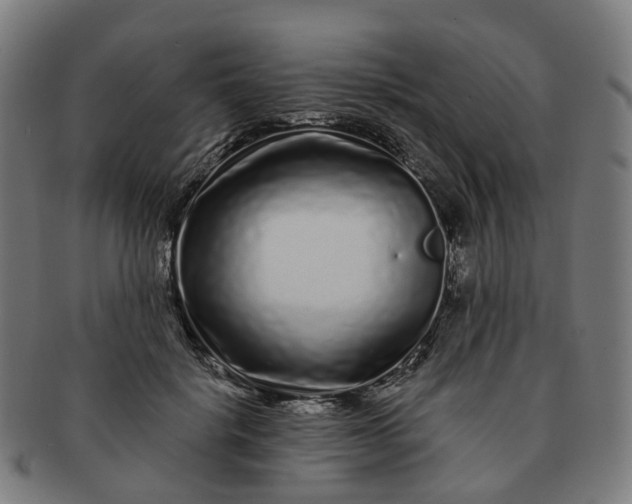 X0000091310652200708241114