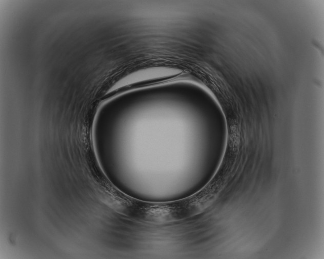 X0000091310653200708241114