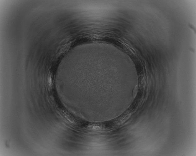 X0000091310655200708241114