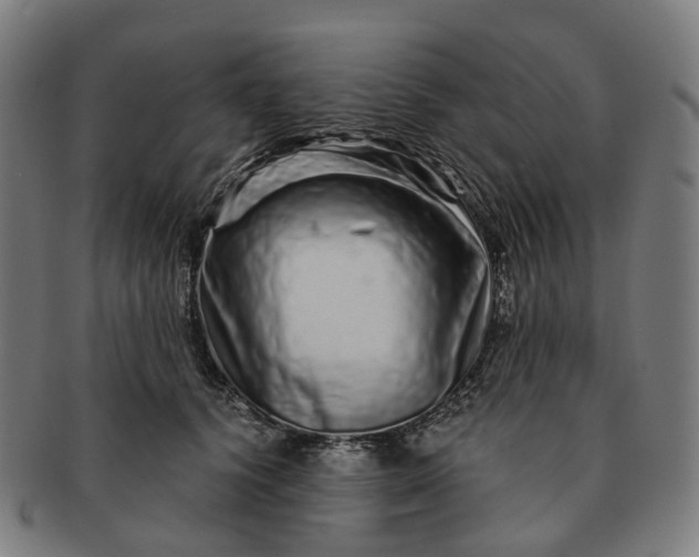 X0000091310656200708241114