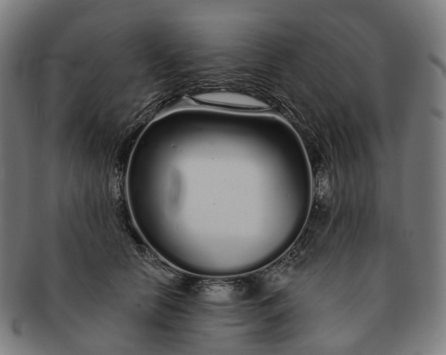 X0000091310658200708241114