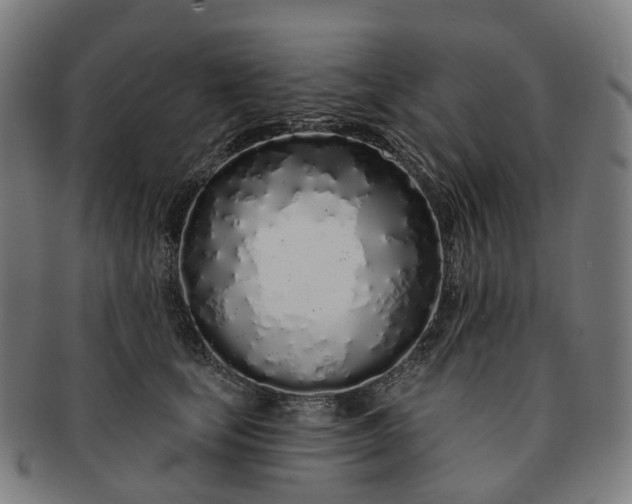 X0000091310659200708241114