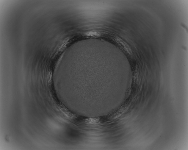 X0000091310660200708241115