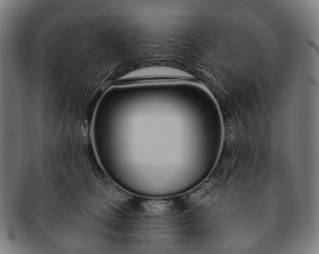 X0000091310661200708241115