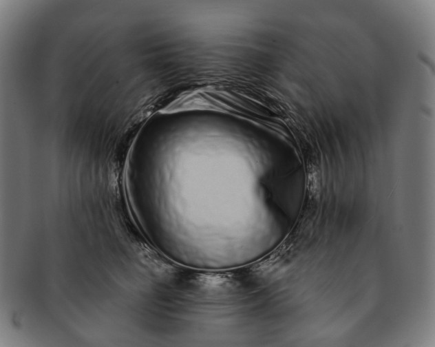 X0000091310662200708241115