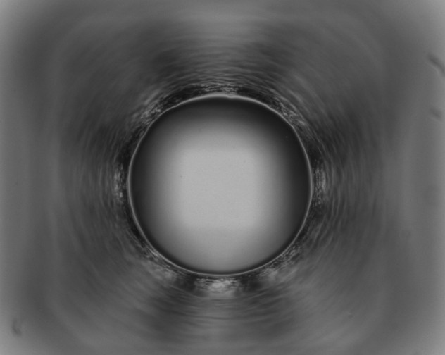 X0000091310663200708241115