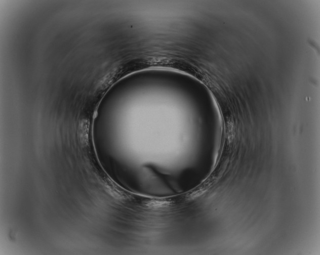 X0000091310664200708241115