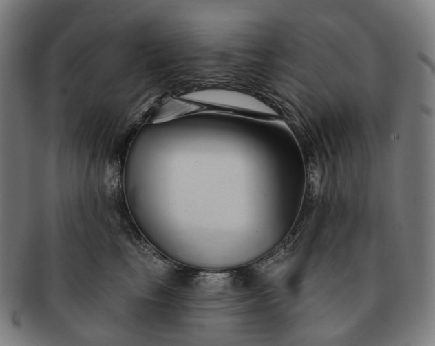 X0000091310665200708241115