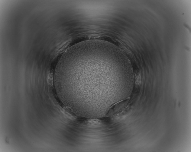 X0000091310666200708241115