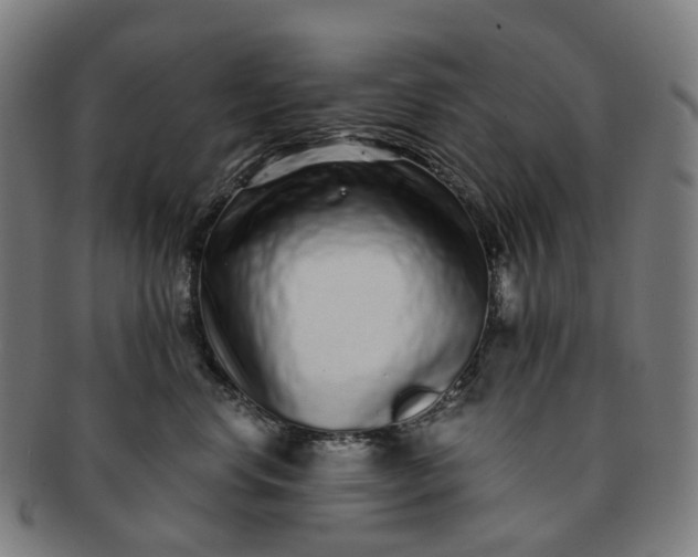 X0000091310668200708241115