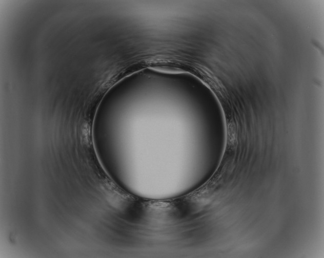 X0000091310669200708241115