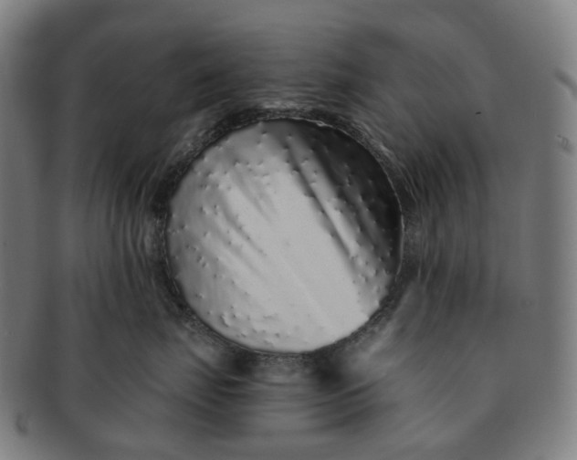 X0000091310671200708241115